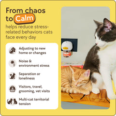 TherapetMD multi-cat harmony scene showing fewer fights and calmer cats