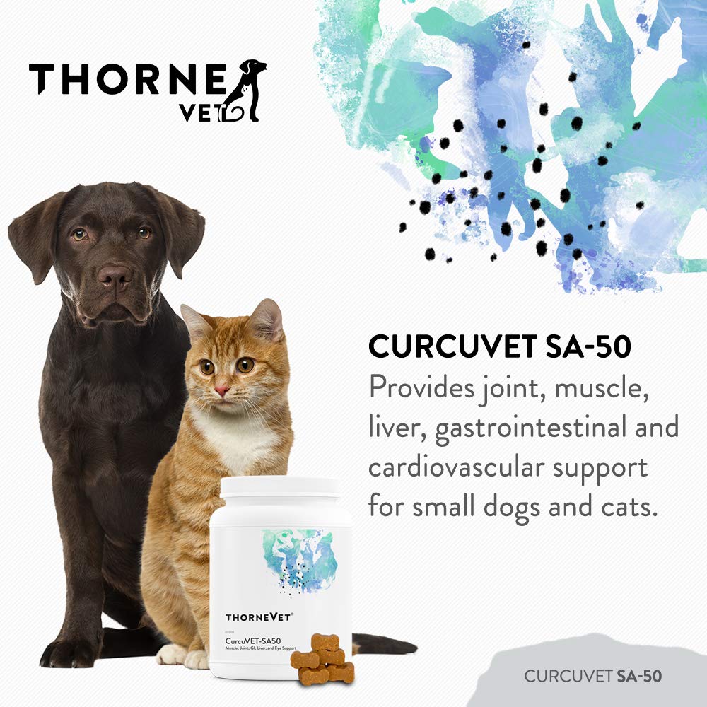 ThorneVet CurcuVET-SA50 bottle label displays 90-soft-chew format for small pets.