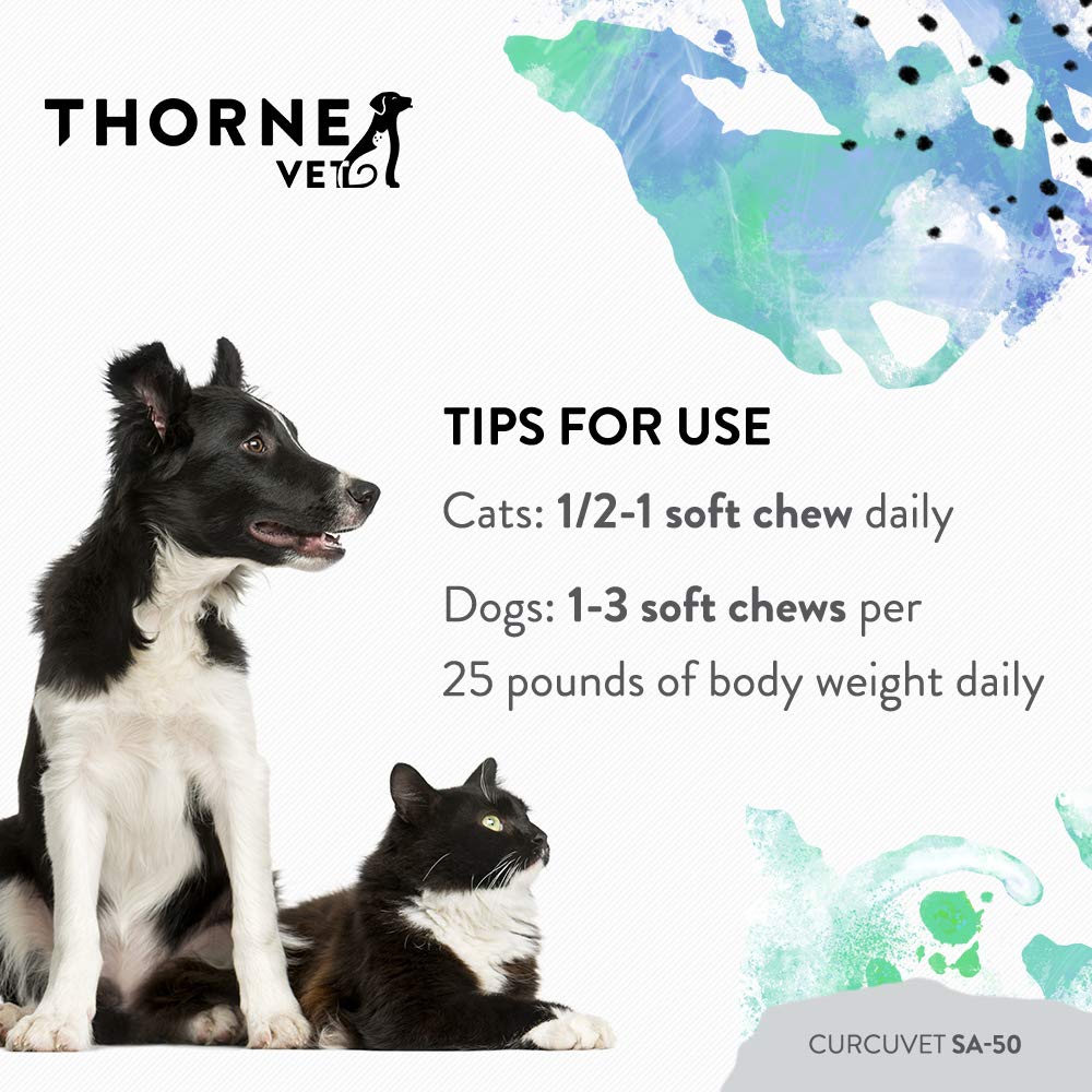 ThorneVet CurcuVET-SA50 ingredient panel emphasizes curcumin-inspired blend for mobility.