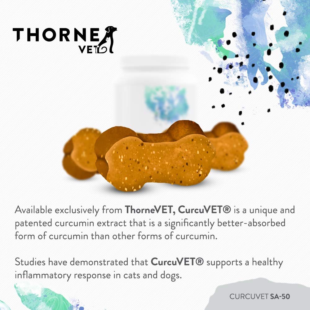 ThorneVet CurcuVET-SA50 pets snack time scene suggests regular joint-friendly support.