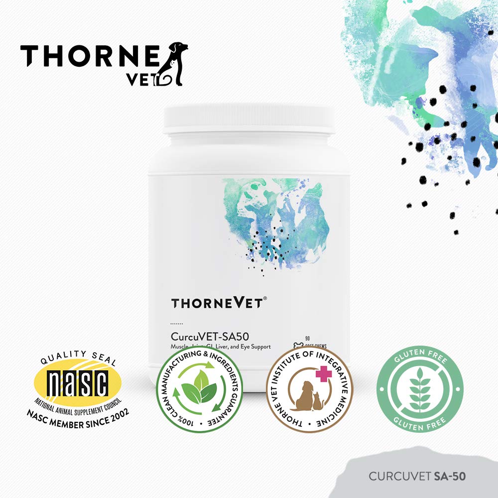ThorneVet CurcuVET-SA50 soft chews with water convey a palatable daily option.
