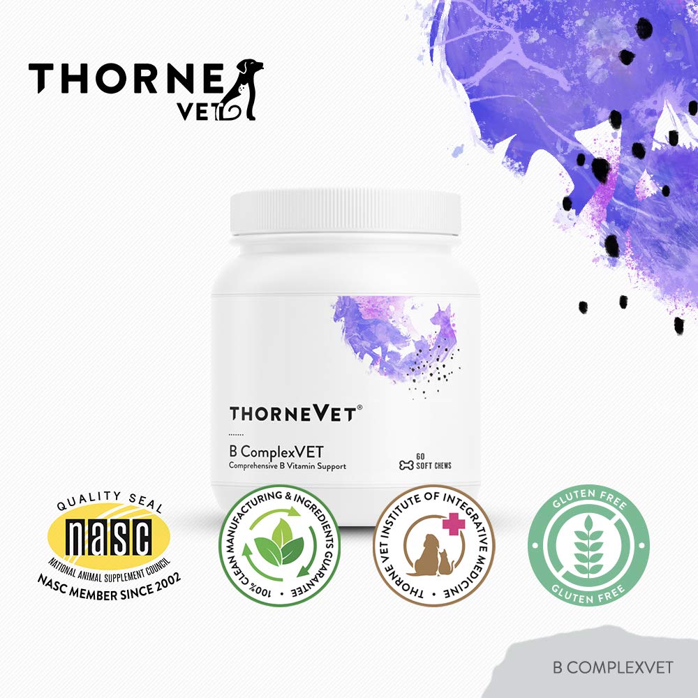 ThorneVET B ComplexVET bottle beside a pet feeding bowl for daily care.