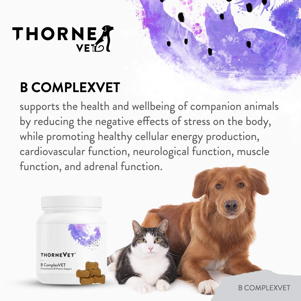 ThorneVET B ComplexVET soft chews shown for easy administration.