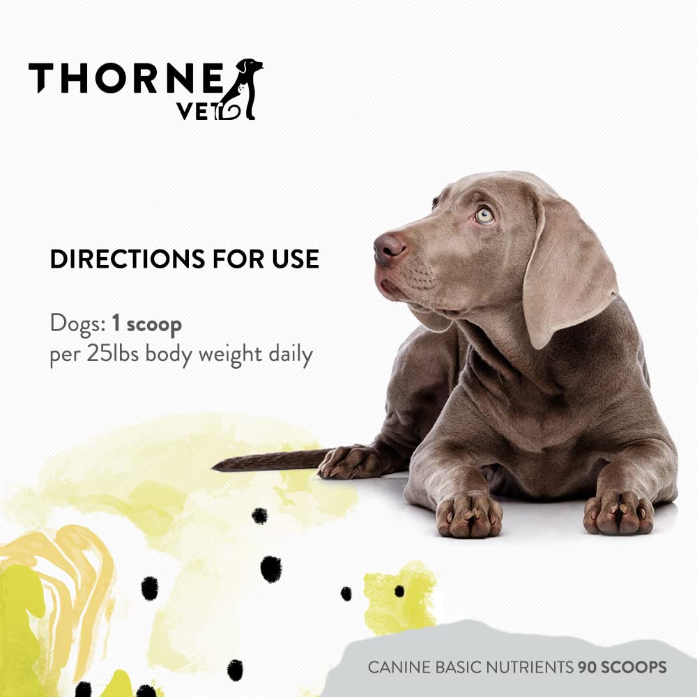 ThorneVet Canine Basic Nutrients Powder bottle close-up highlighting bioavailable nutrients.