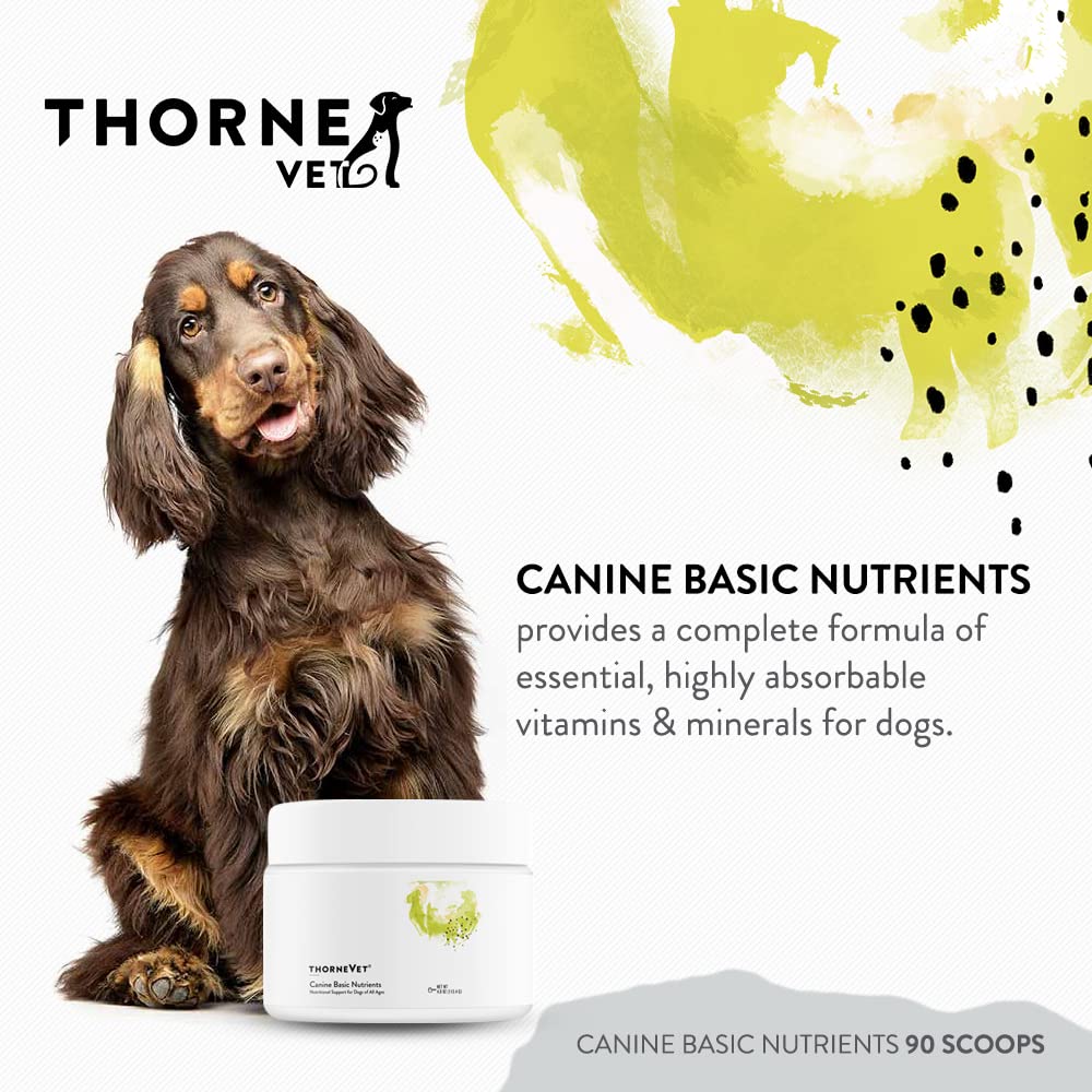 ThorneVet Canine Basic Nutrients Powder scoop and bottle, enabling easy, reliable daily dosing.