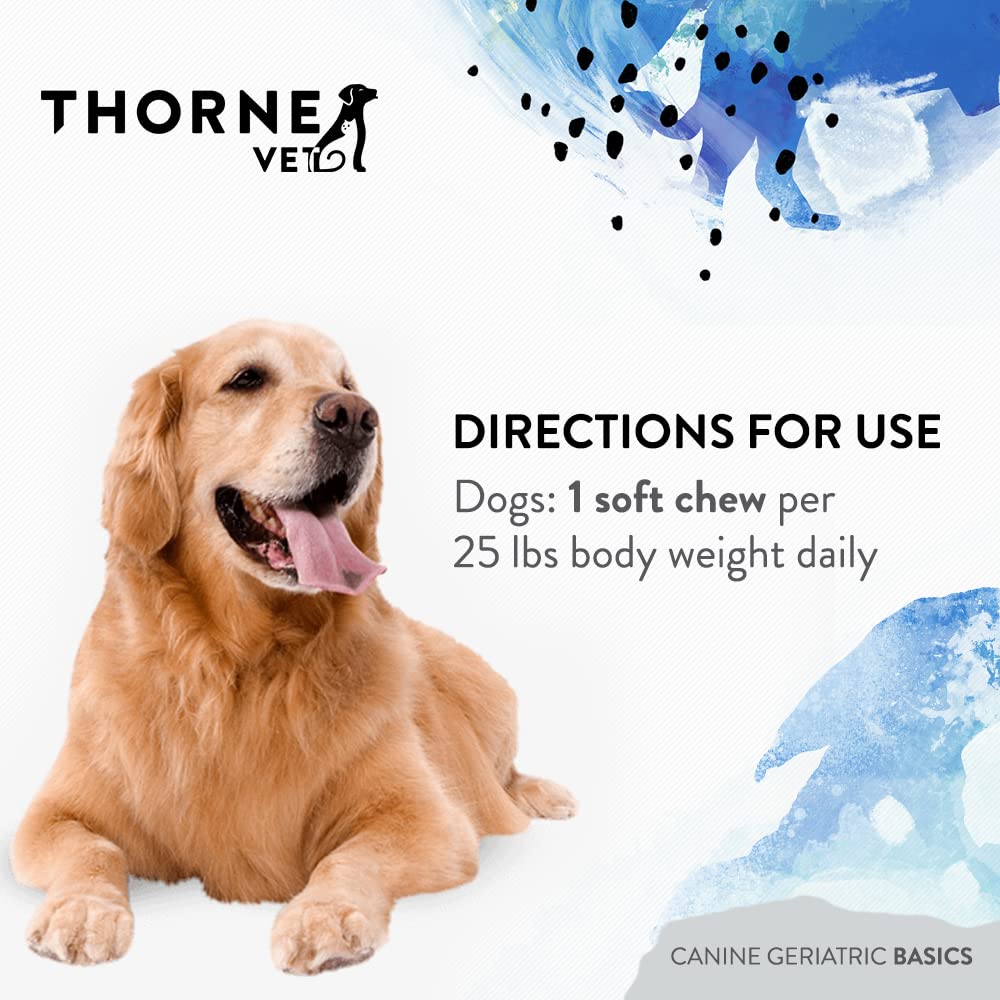 ThorneVET Canine Geriatric Basics bottle beside dog during routine supplement use