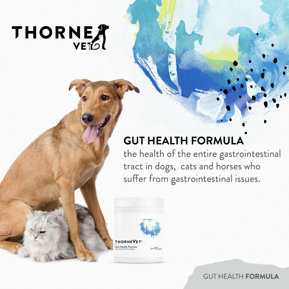 ThorneVET Gut Health Formula bottle closeup highlighting premium GI ingredients