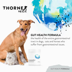 ThorneVET Gut Health Formula bottle closeup highlighting premium GI ingredients