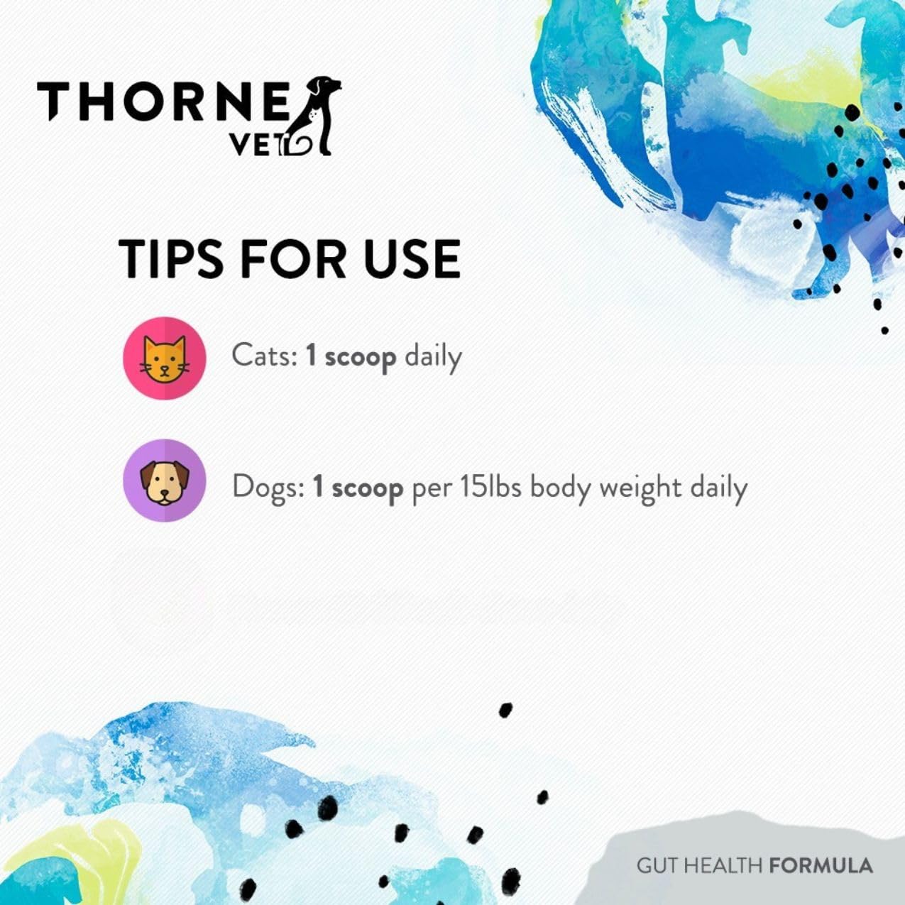 ThorneVET Gut Health Formula horse in a stable scene indicating broad GI support