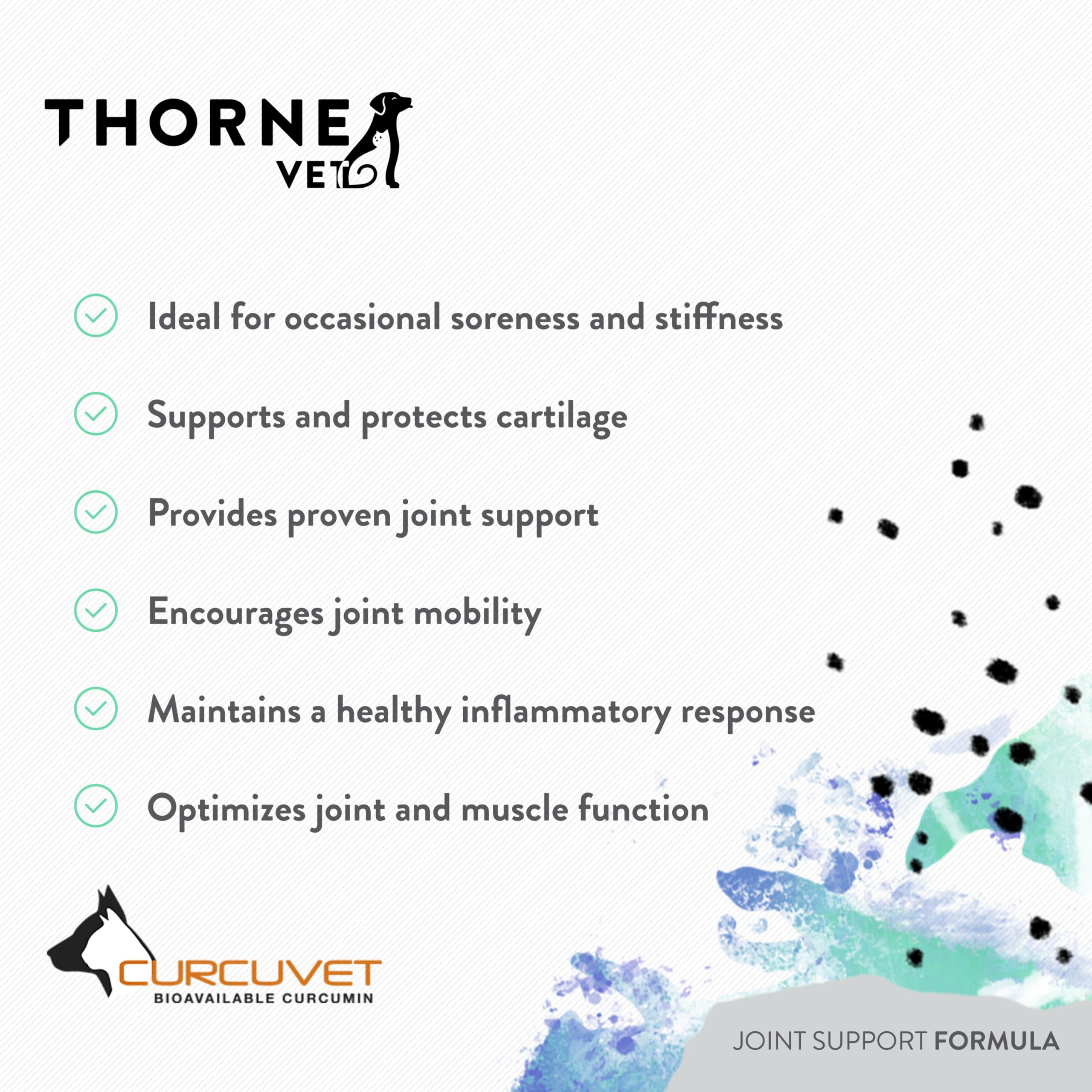 Cat companion image indicating feline joint support with ThorneVet