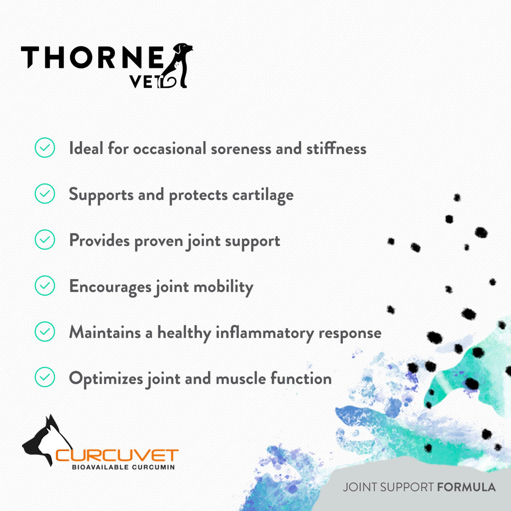 Cat companion image indicating feline joint support with ThorneVet