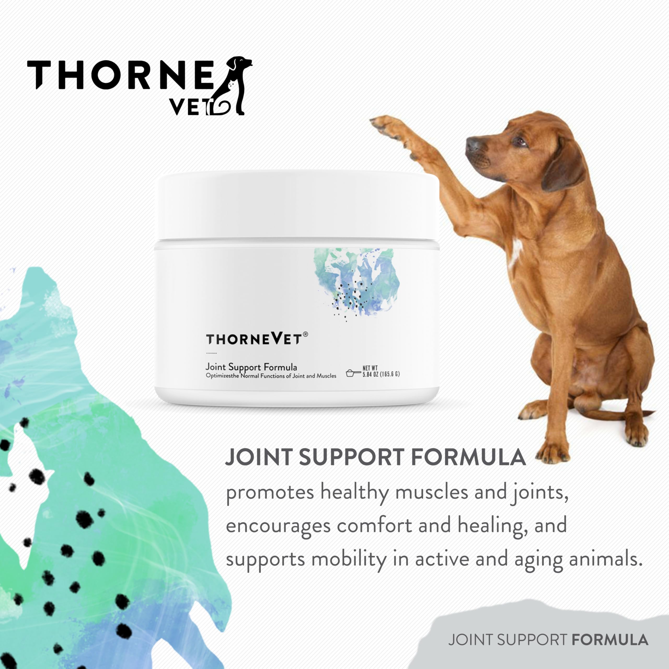Closeup of ThorneVet label highlighting natural ingredients for pets