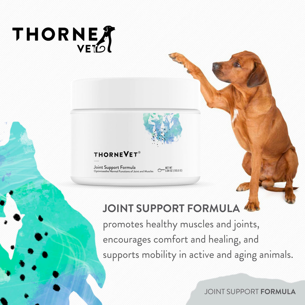 Closeup of ThorneVet label highlighting natural ingredients for pets