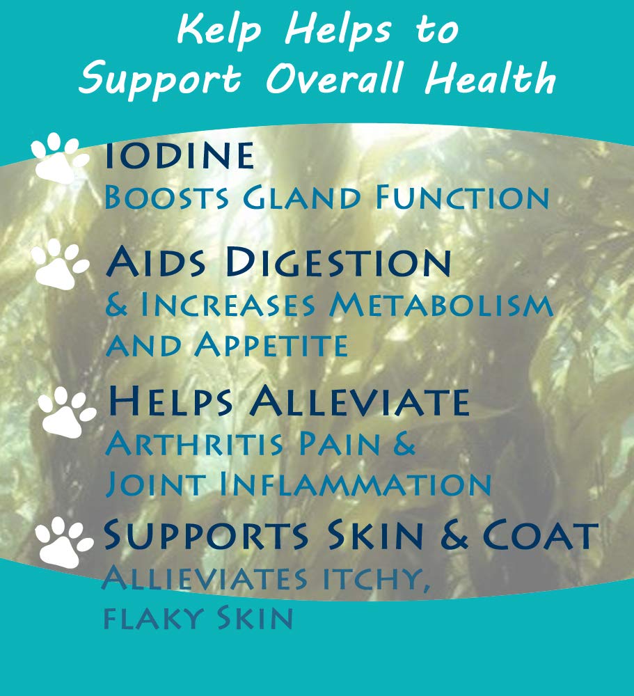 Thorvin Wolf Creek Ranch Icelandic Kelp Meal aids digestion and stress relief in animals.