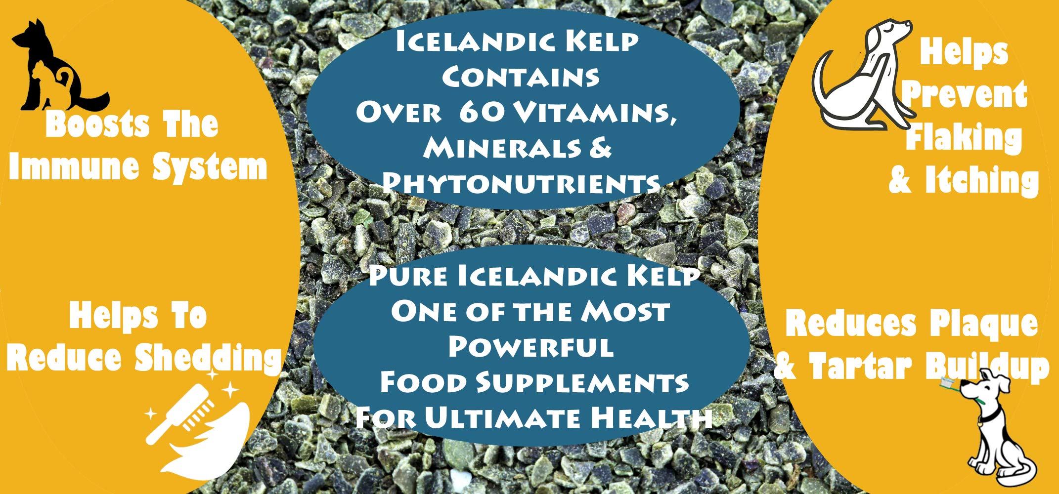 Thorvin Wolf Creek Ranch Icelandic Kelp Meal nourishing orchids and lawns.
