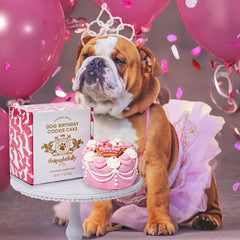 Thoughtfully Pets mini cookie cake in peanut butter flavor, ideal for birthdays.