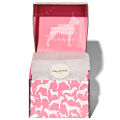 Thoughtfully Pets small and large breeds friendly cake for sharing