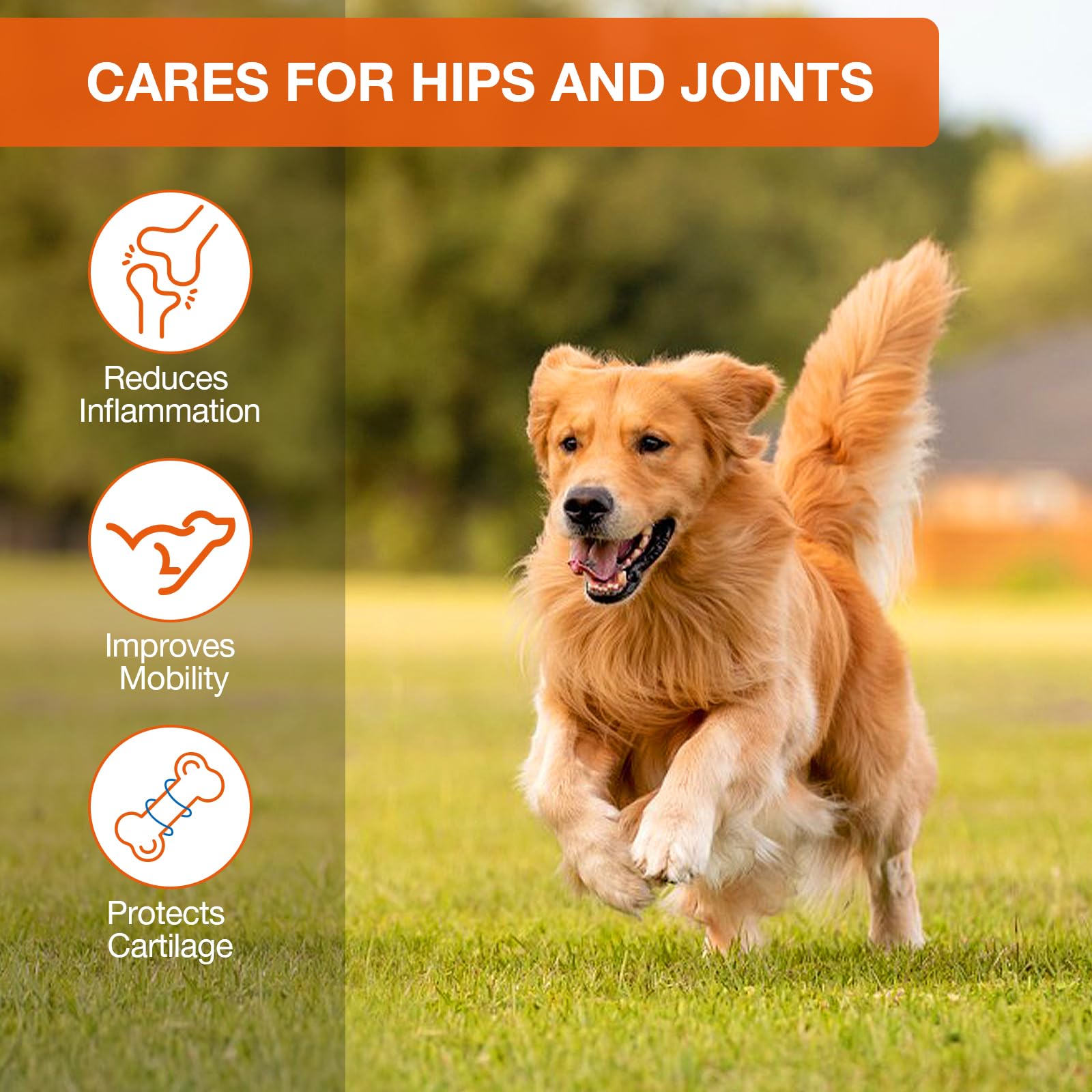 THRADORBS vet-recommended label signals trusted canine stress support