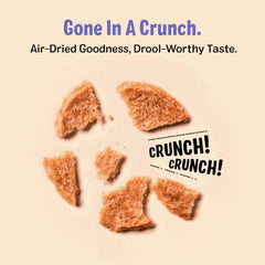Three Dog Bakery Bark'n Crunch chicken chips texture showing air-light crunch.