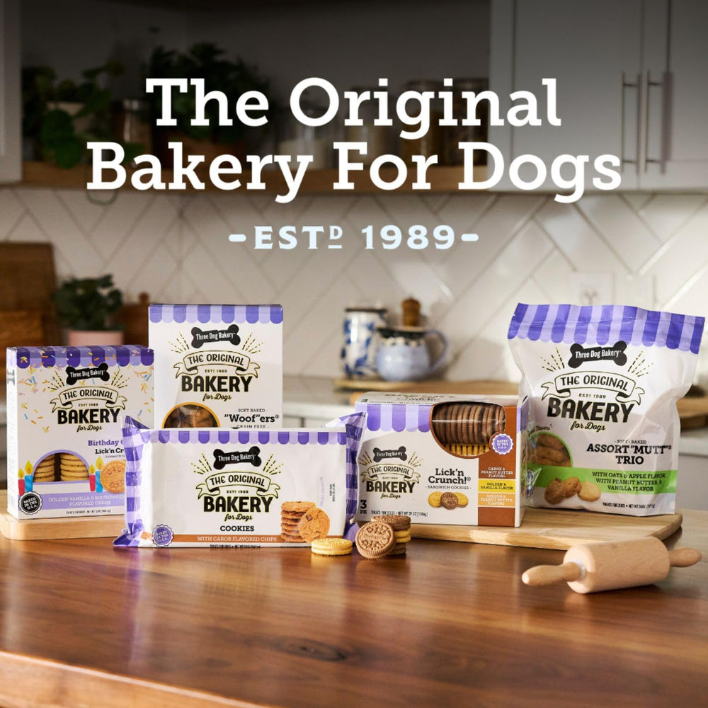 Three Dog Bakery dog enjoying a crunchy treat as a daily reward.