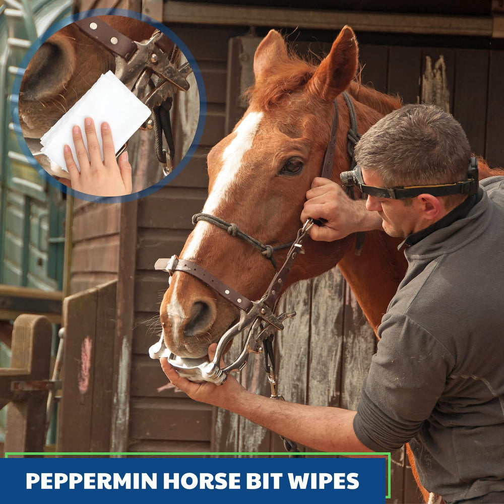 Threlaco 120 pcs total for comprehensive bridle cleaning