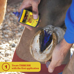 Close-up of Thrush Buster liquid penetrating deep into hoof areas