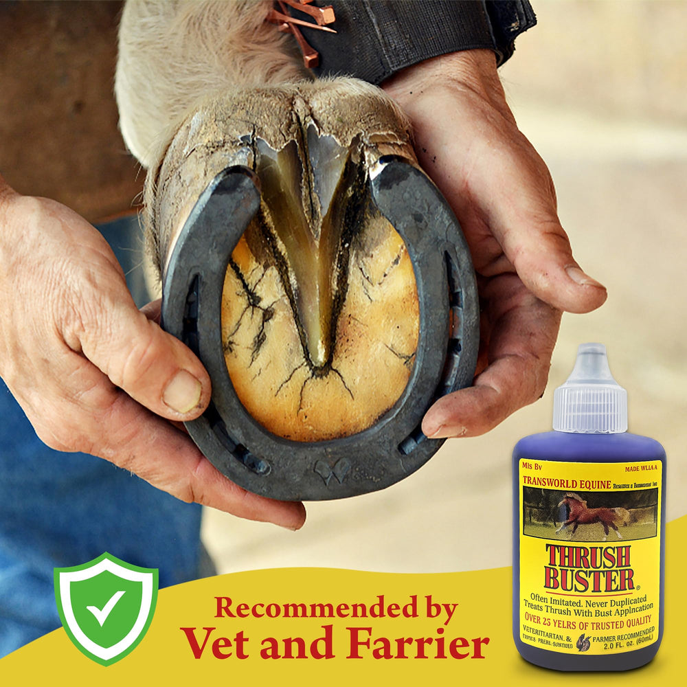 Thrush Buster precision applicator used on hoof for efficient application