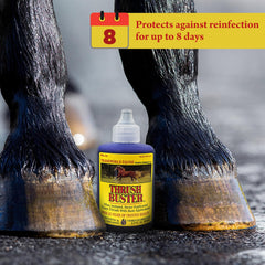 Horse in muddy conditions with Thrush Buster ready for hoof care