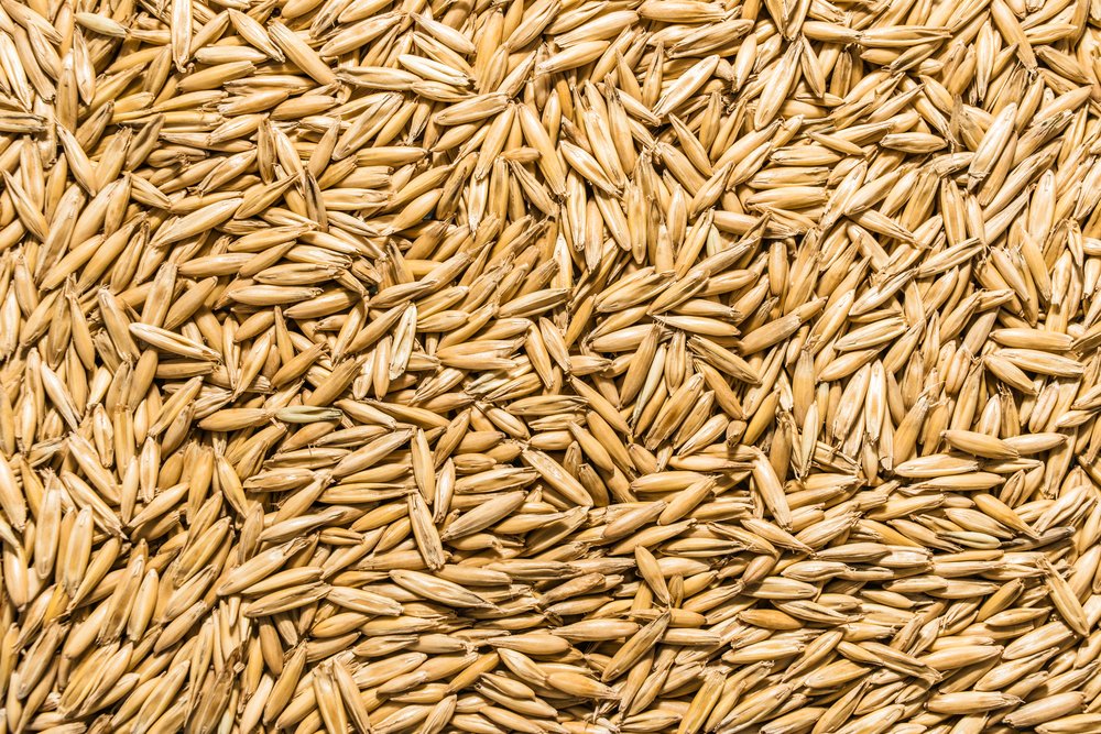 Thunder Acres oat seed bag front view, non-GMO and certified organic.