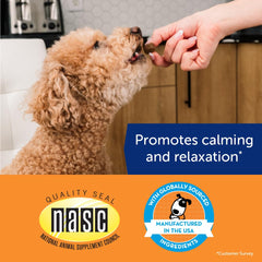 ThunderBites chews in hand ready to soothe a stressed dog