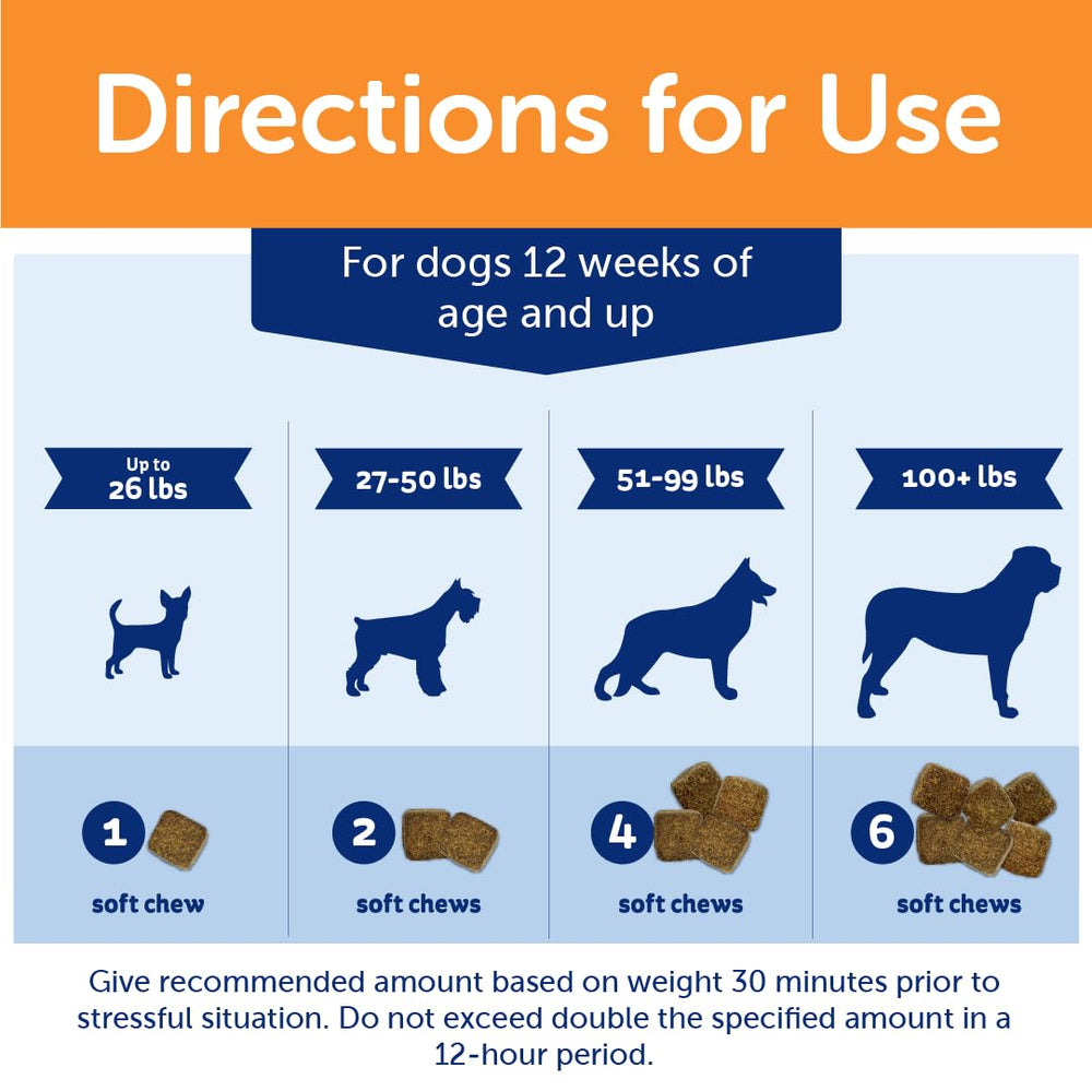 ThunderBites with ginger ingredient supports gentle relaxation in dogs