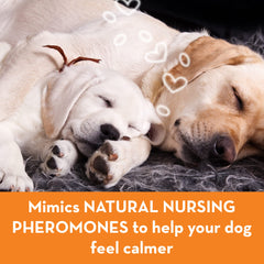 ThunderEase pheromone analog label highlighting the vet-recommended calming approach.