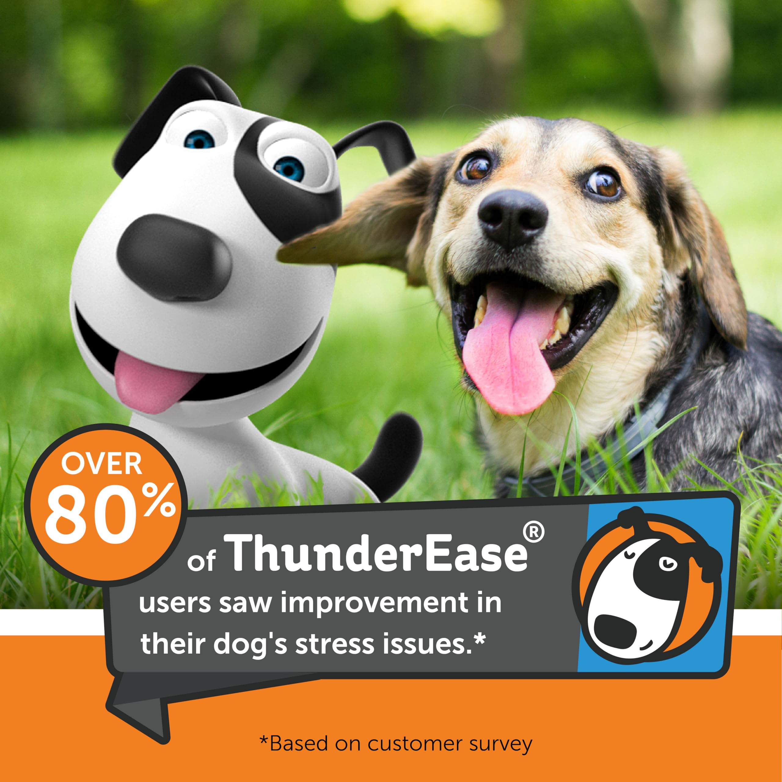 ThunderEase spray inside car to ease travel anxiety for dogs.