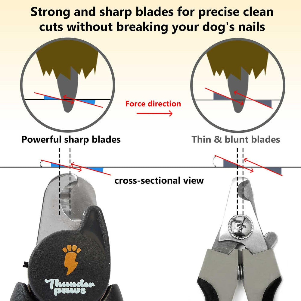 Thunderpaws grey LED model shown in home grooming use