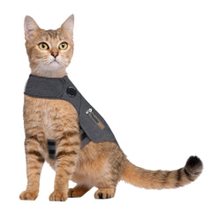 ThunderShirt cat grey large fit shows snug, comforting support during vet visits.