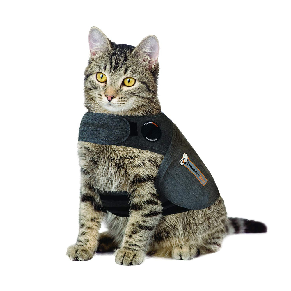 ThunderShirt cat in grey large size demonstrates calming wear for anxious cats.