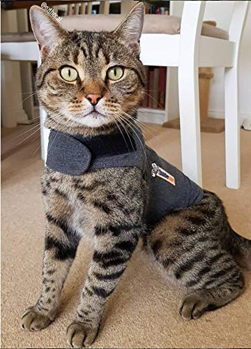 Thundershirt Classic cat anxiety jacket care; machine washable.