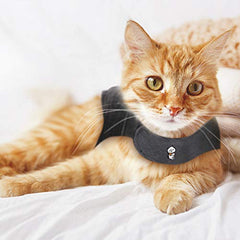 Thundershirt Classic cat anxiety jacket in a stress-relief scene during travel.