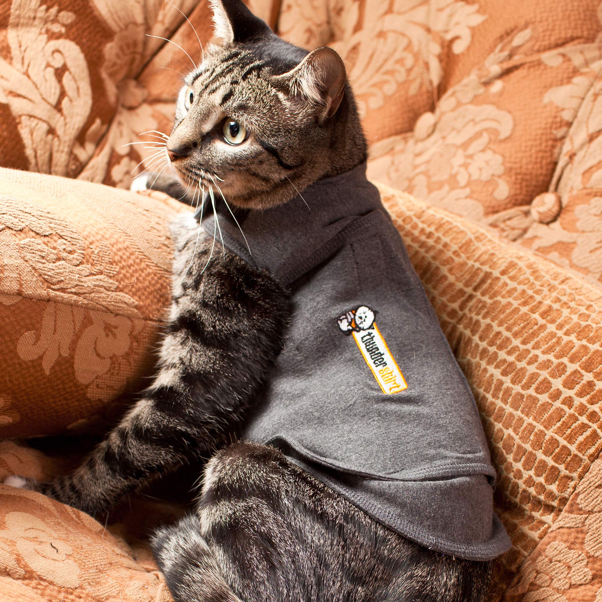 Thundershirt Classic cat anxiety jacket ready for vet visits.