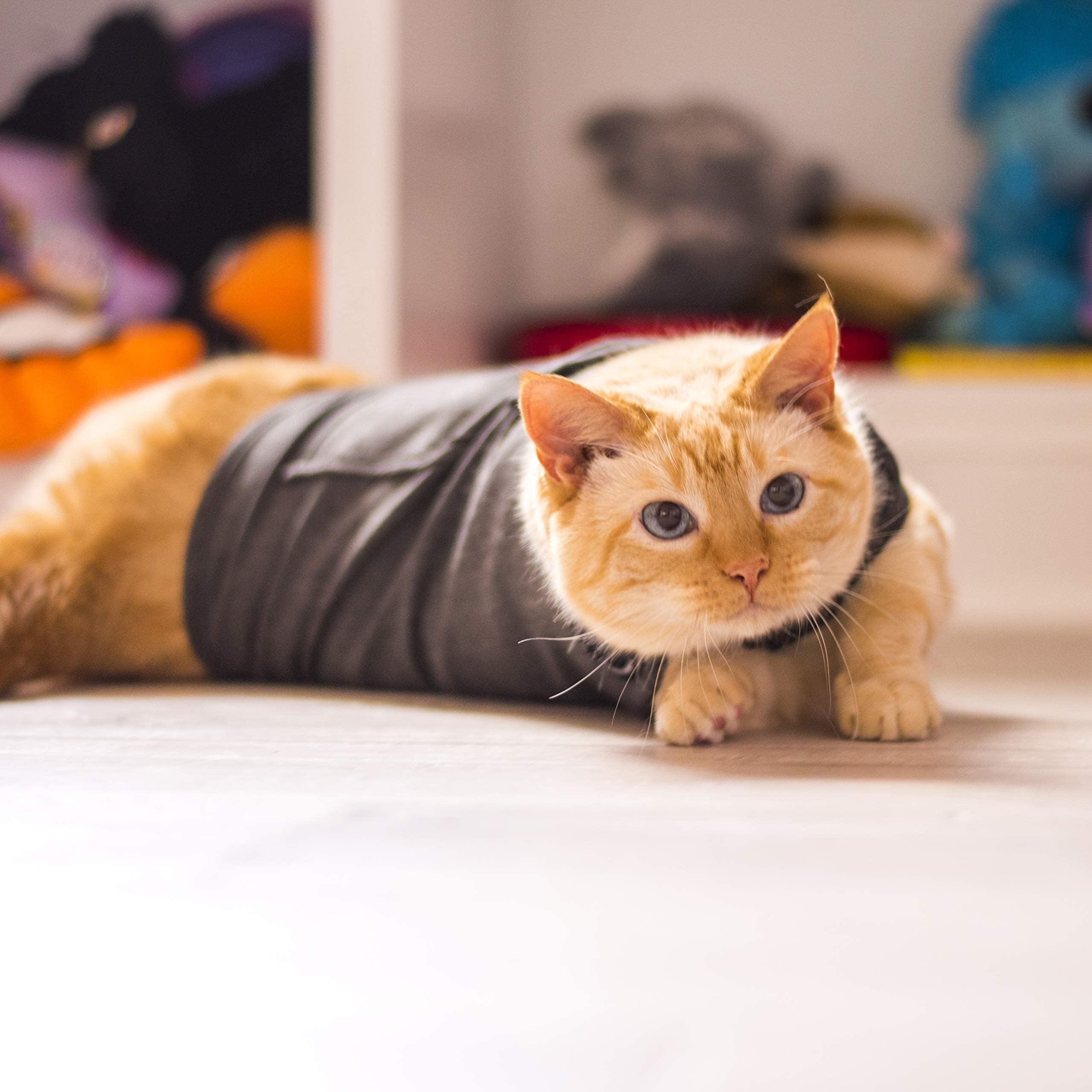 ThunderShirt Classic Cat Anxiety Jacket care instructions ensure longevity.