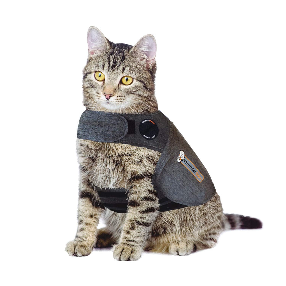 ThunderShirt Classic Cat Anxiety Jacket worn to help calm a cat during vet visits.