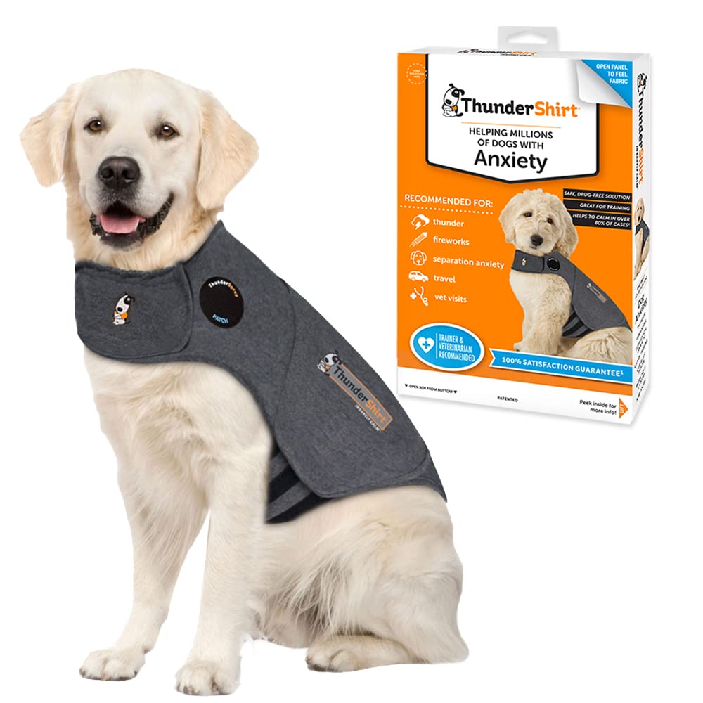 ThunderShirt on a large dog wearing the anxiety-wrap for storm-calming relief