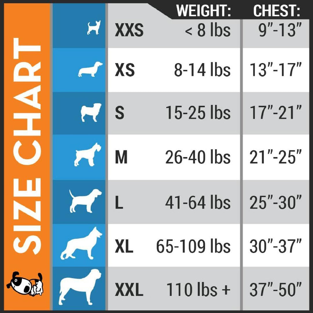 ThunderShirt Platinum Sport with reflective logos for safer nighttime walks.