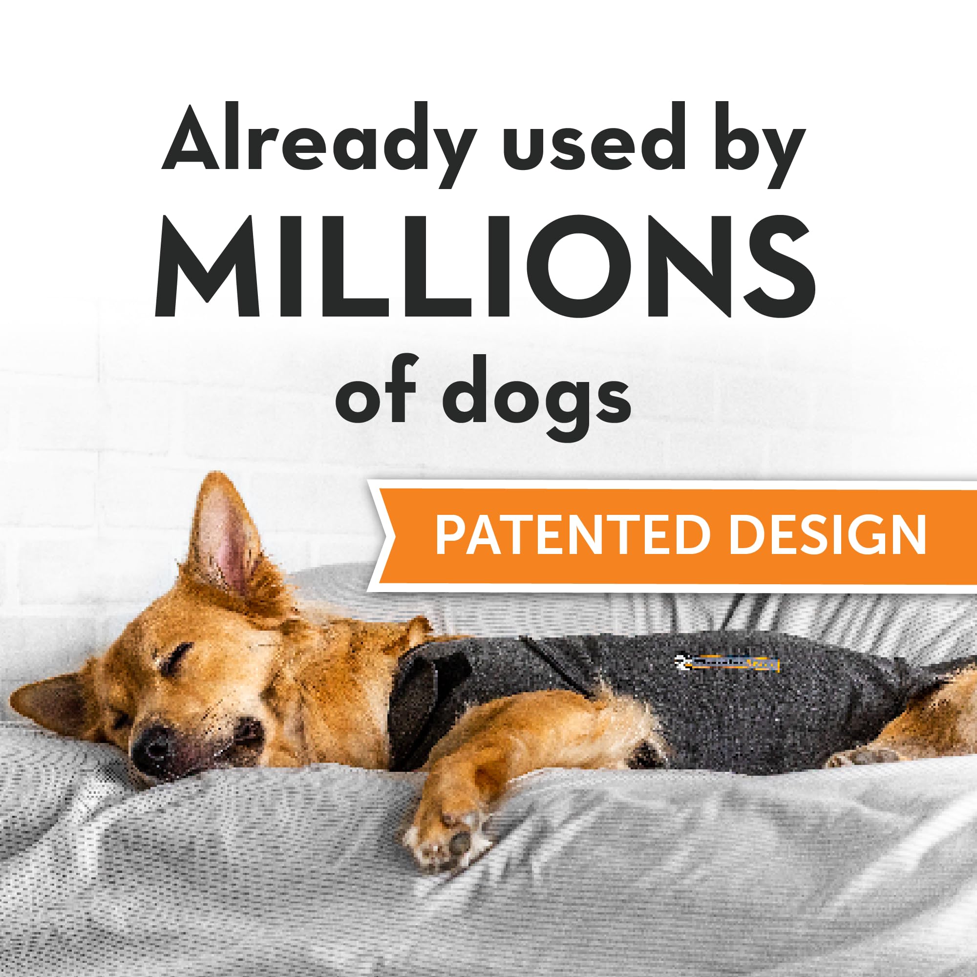 Adjustable straps on ThunderShirt XX Small ensure a secure, drug-free calming fit