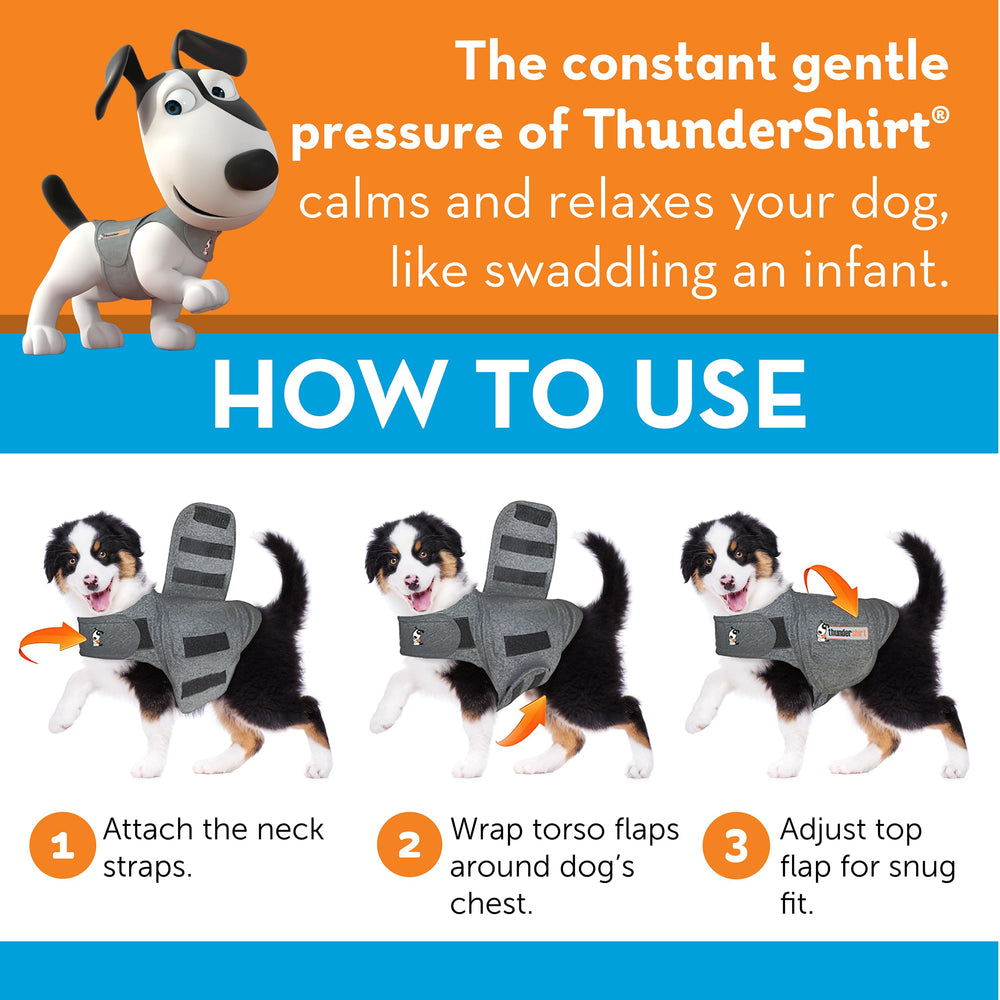 Dog wearing ThunderShirt XX Small during fireworks, potential stress reduction