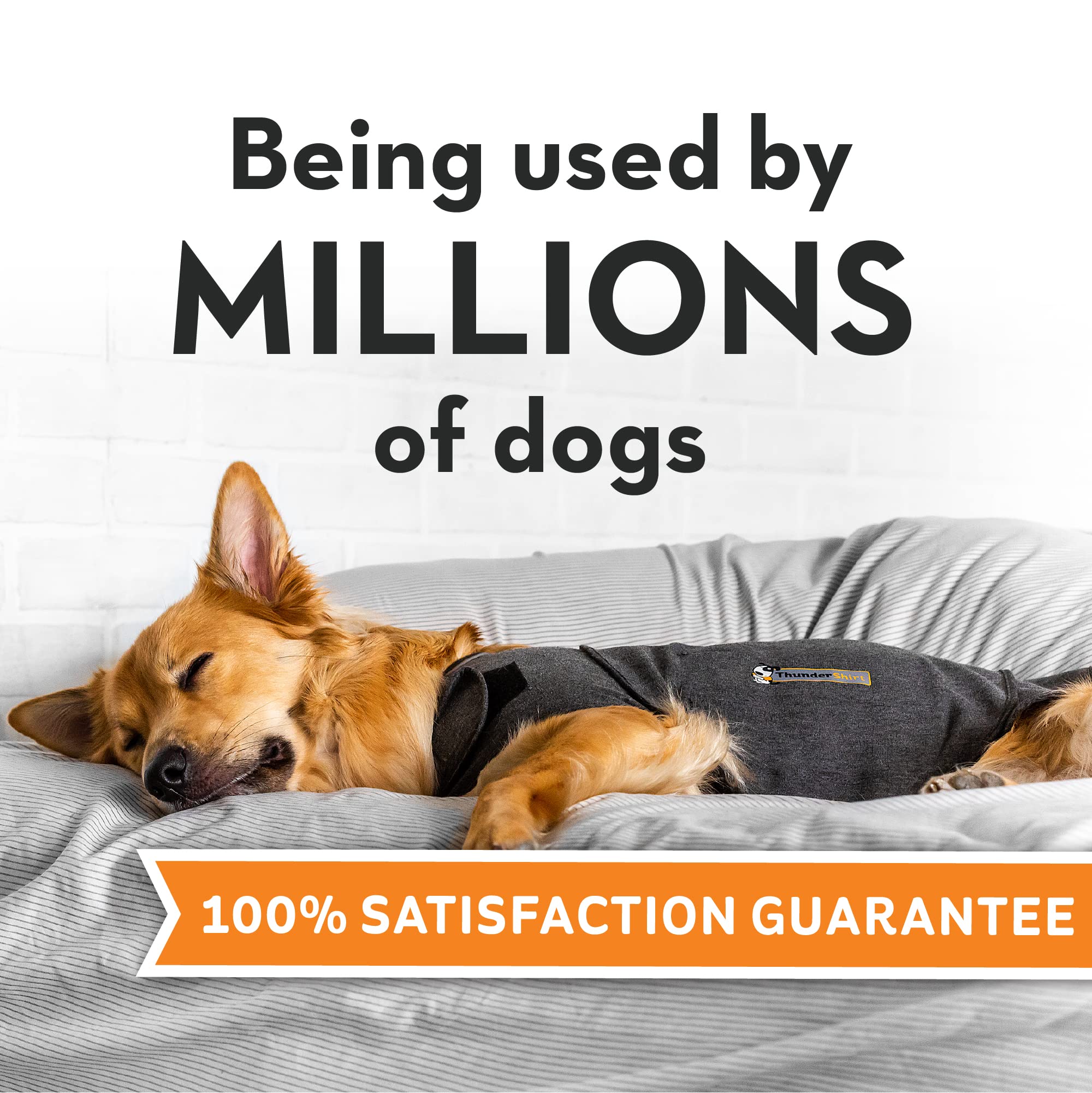 Adjustable straps on ThunderShirt for dogs ensure a secure fit during vet visits