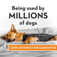 Adjustable straps on ThunderShirt for dogs ensure a secure fit during vet visits