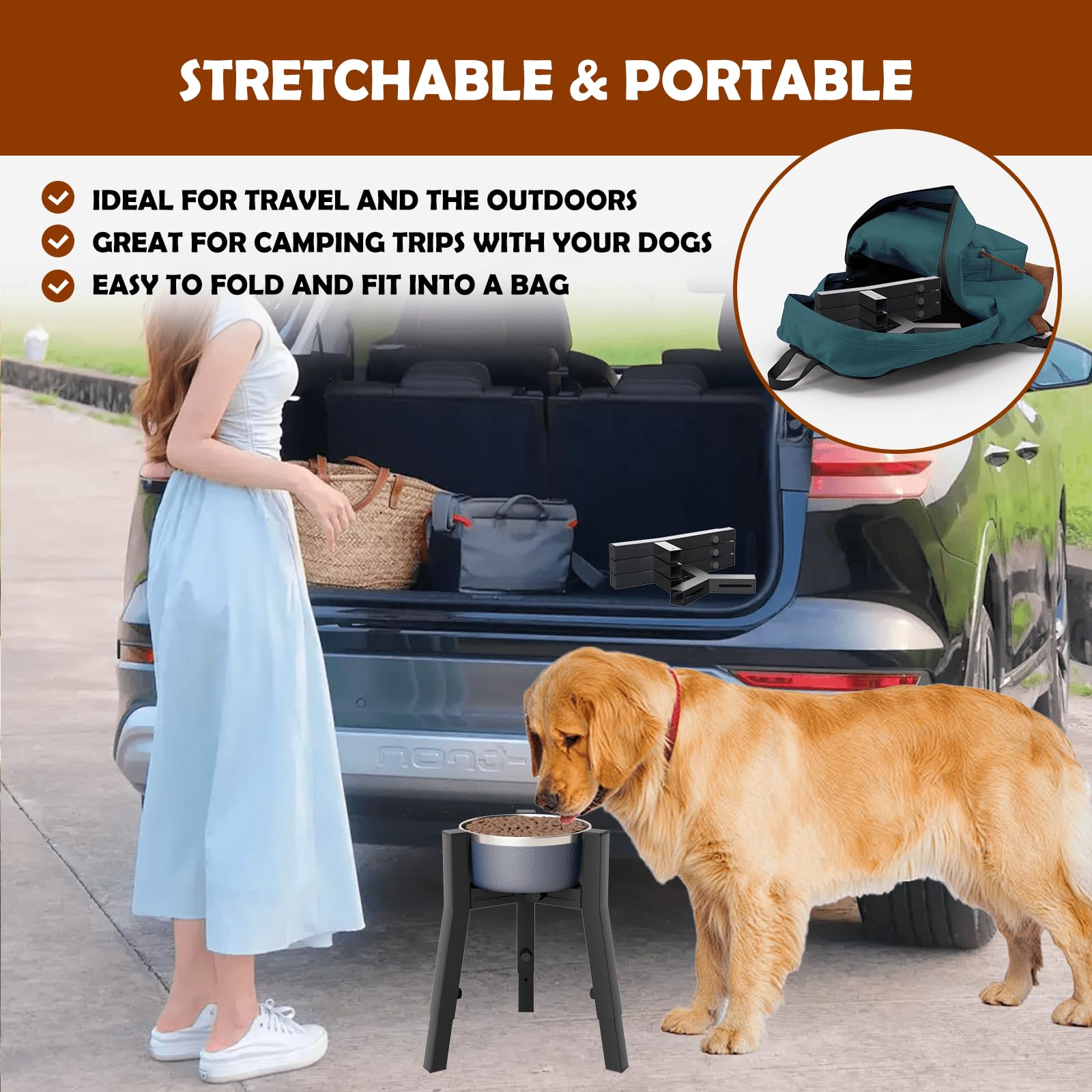 Dog eats at TIDANT stand for comfortable posture