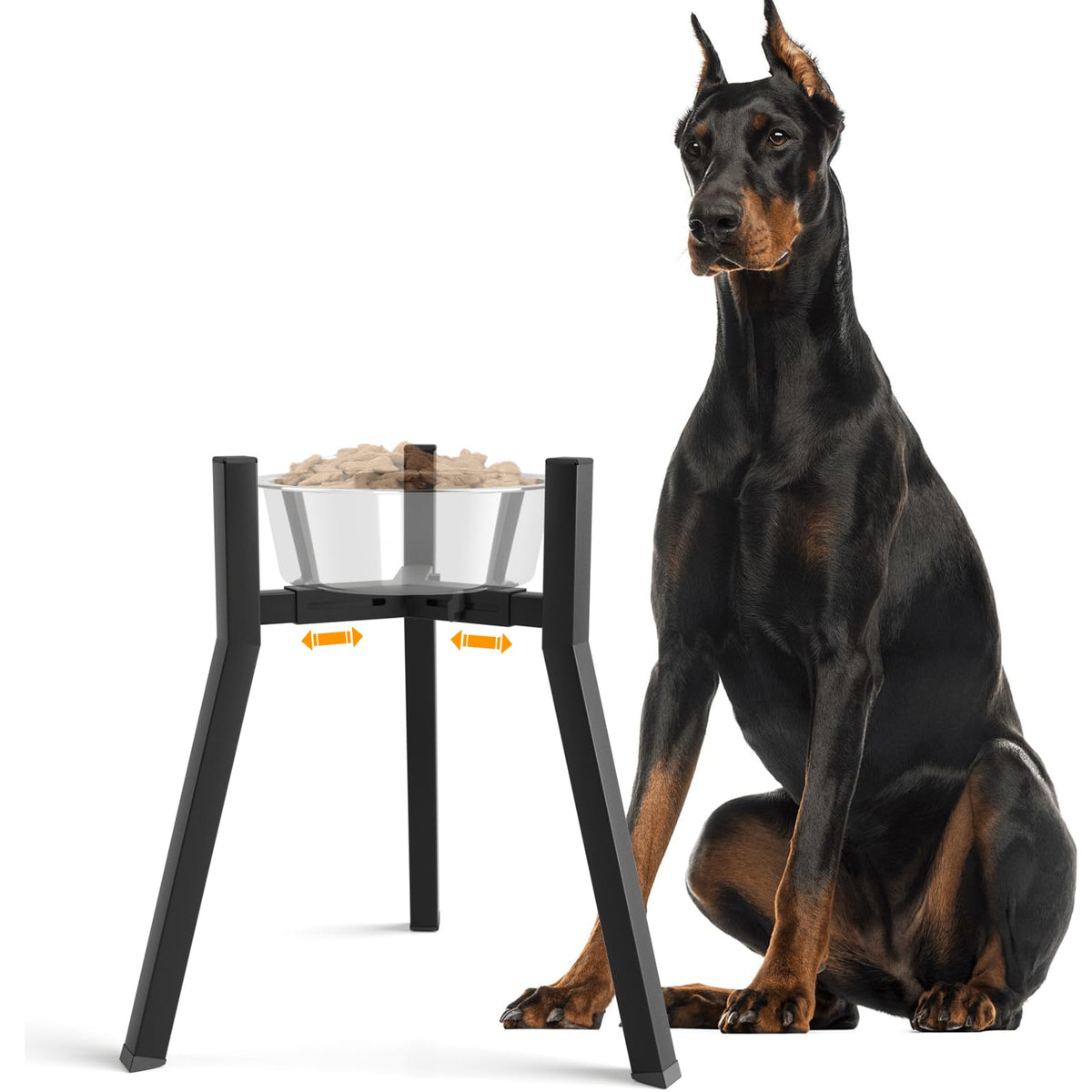TIDANT elevated dog bowl stand for large dogs, assembled for comfortable feeding height.
