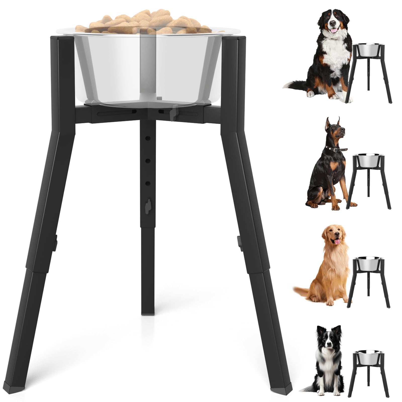 TIDANT elevated bowl stand with adjustable height for large dogs.